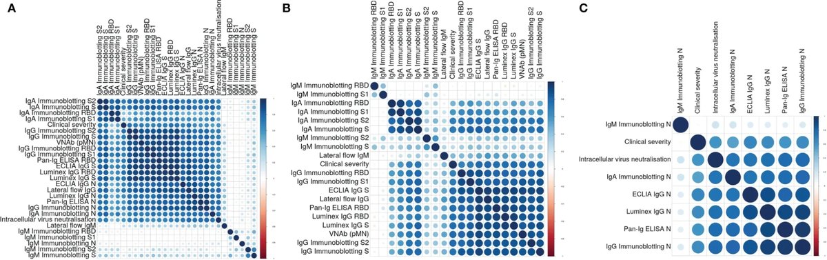 Correlation matrix of serological biomarkers